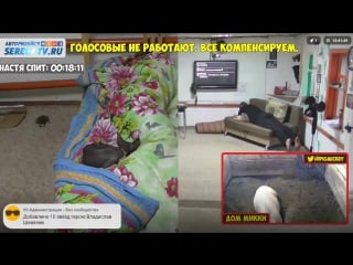 Двое под камерами | стрим 24/7 | прямая трансляция