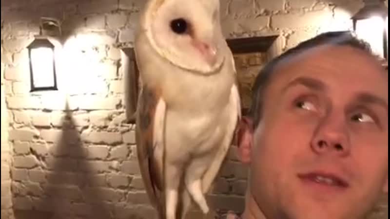 Отличное антикафе )))