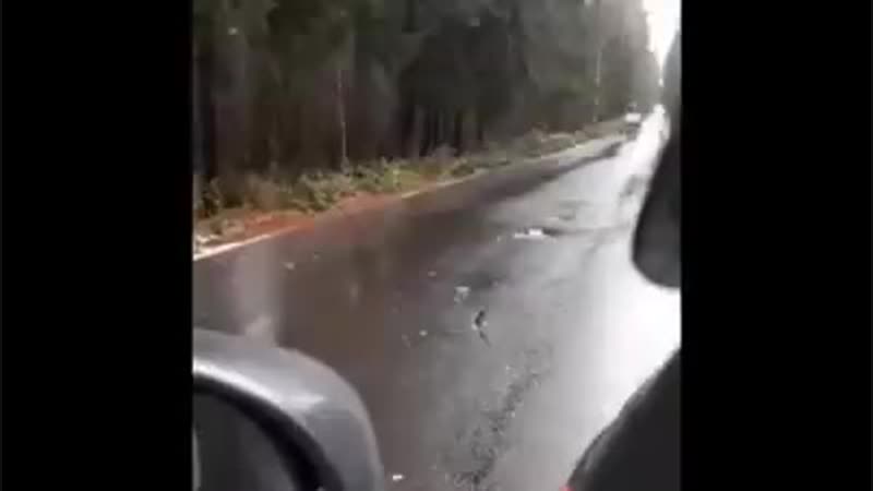 И пофиг цены на бензин