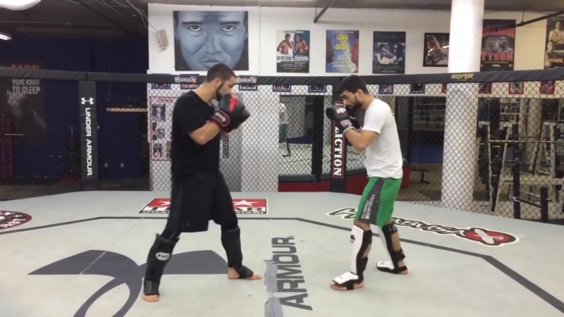 Контратака на лоу кик муай тай фирас захаби (русск перевод)