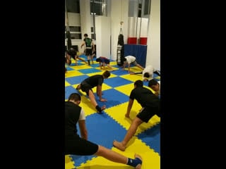 Live muay thai, тайский бокс, мма, thai fight rus