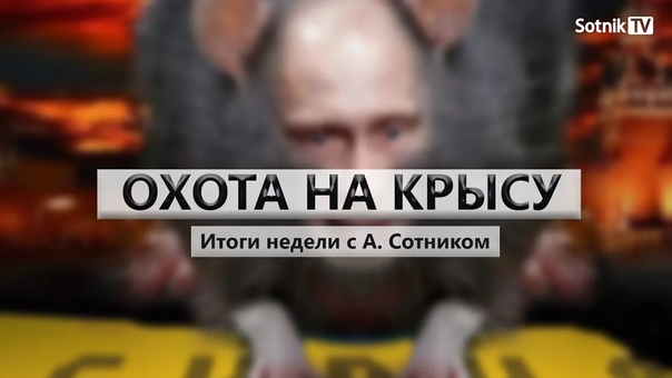 Охота на крысу итоги недели с а сотником