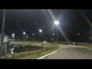 Capybara attacks rottweiler in cuiabá, brazil