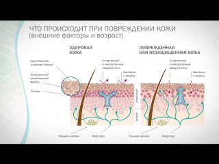 Юлия бастригина – truvivity от nutrilite