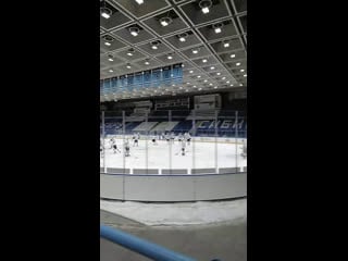 Live мхк «сибирские снайперы» skynet