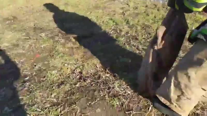 Киевская область