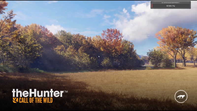 Thehunter call of the wild