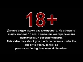 Маг целитель новый старт без цензуры 10