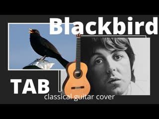 Blackbird natalia kiselyova (solo classical guitar)