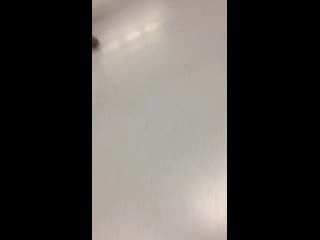 Live airfly pony | sfw