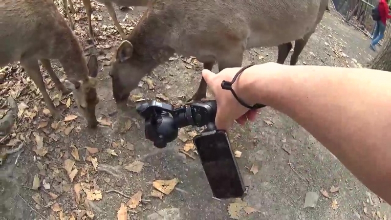 Топим во владике nissan qashqai 2018 тест драйв