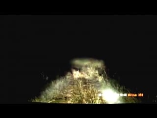 Охотник от бога жалко зайца (жесть)