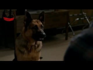 Кенты стереотипщики