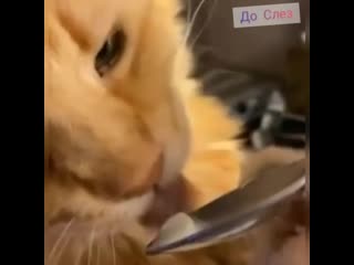 Ммм, мороженка😜😂