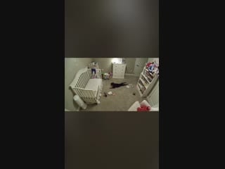 Dog isn’t allowed in baby’s room; also doesn’t know there is a camera installed