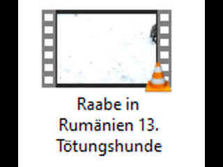 Raabe in rumänien 13 tötungshunde