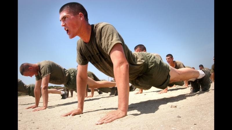 Собственно обычная тренироа t rex )