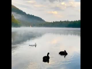 Ozera club 20200803 121208 0 mp4