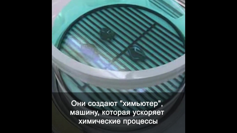 Вырасти себе дрона!