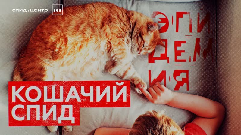 Кошачий спид / эпидемия с антоном красовским часть 7 18+