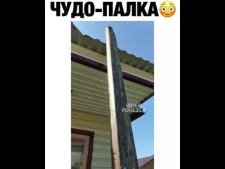 Думал, что бесполезная палка