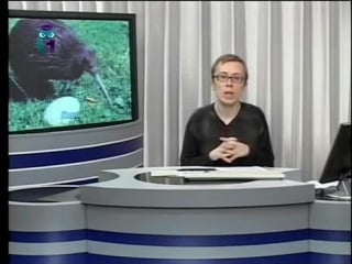 Экология передача 19 жизненные формы растений и молодые