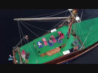 Instagram brooks laich