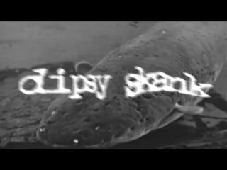 Dipsy skank molodost