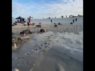 Тренироа морских