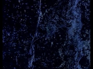 Qb1 (maxim alexeev) if ever two were one (poetry read by naomi watts) (no titles)