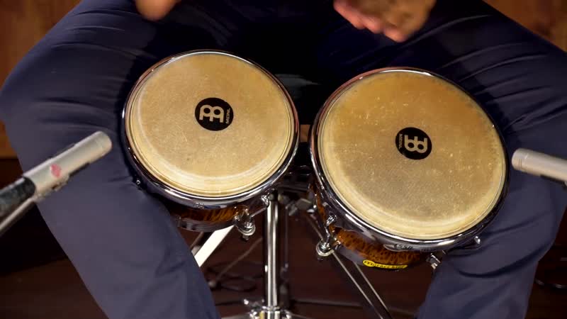 Meinl percussion latin styles on bongos fwb400bb