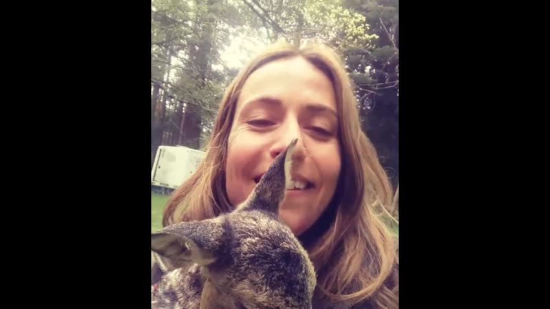 La casa de papel 3 ициар и молодые