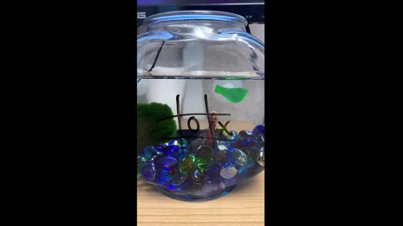 Рыбка играет в крестики нолики (vhs video)