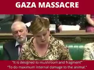 Statement by uk shadow foreign secretary emily thornberry on #gazamassacreit was a deliberate polic