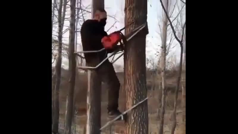 Классная приспособа