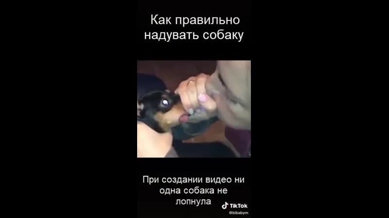 Надувать porn video – Как правильно надувать молодые))) шла 3 неделя самоизоляции)))