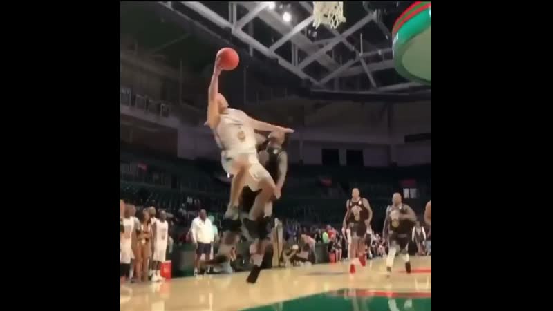 Беляш, нюхай бебру😵