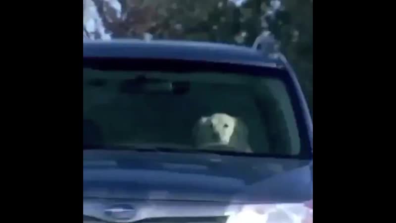 Nancy and mike driving to the byers house to see jonathan and el while joyce is in russia saving