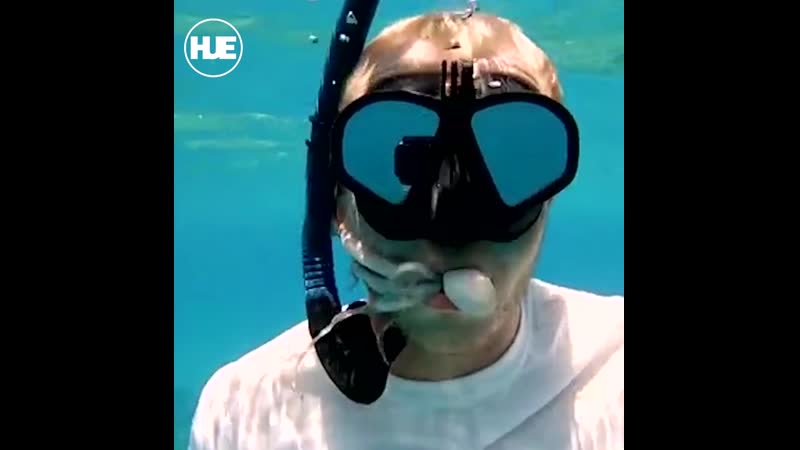На гавайях дайверу заполз в рот осьминог
