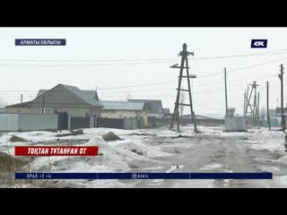 Амазонка тайпалары жыныстық қатынасқа түскен видео