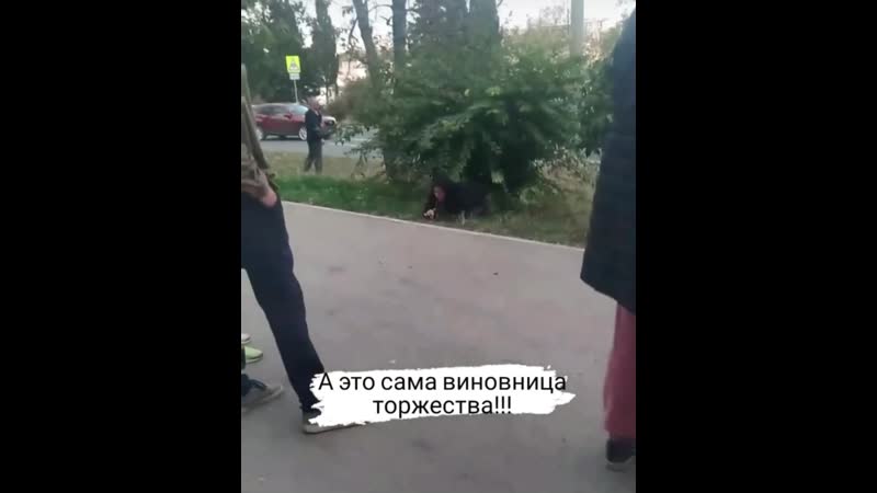 В севастополе студентка под кайфом протаранила пять машин