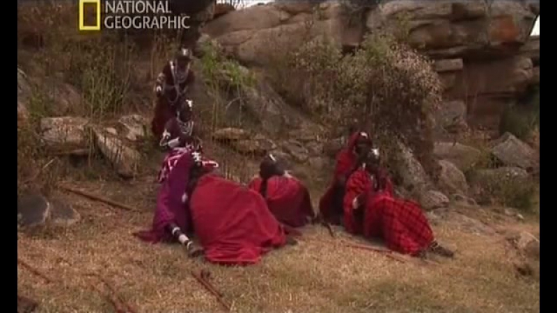 Ng׃ жизнь племен масаи последнее танец воинов ⁄ фильм 1