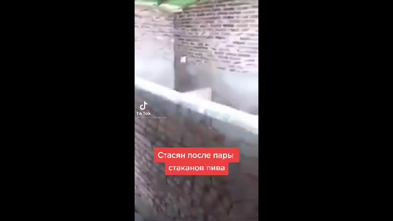 Стасян принял ред бул8