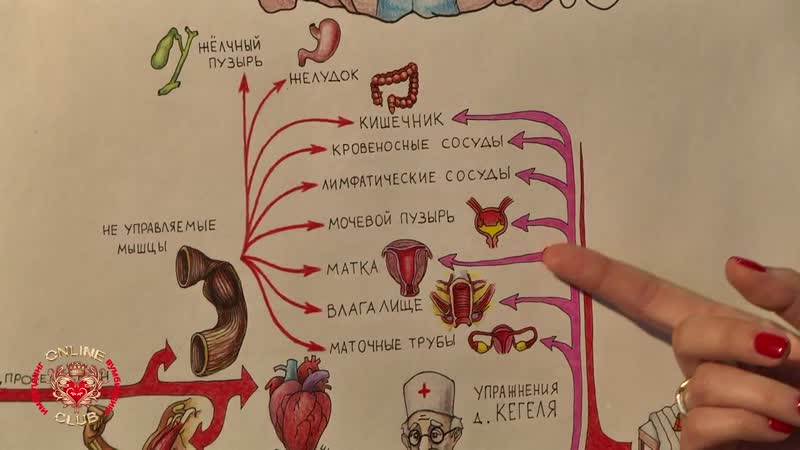 Упражнения кегеля при гормональных нарушениях эндометриоз, кисты, миомы, полипы