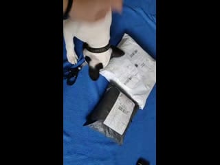 K pop shop | auction hous live