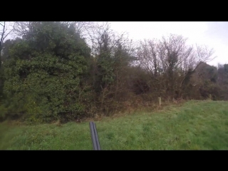 Hunting woodcock over spaniels ireland 2016