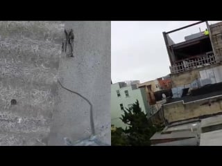 Beep bannerman helicopter rescue with drone