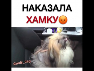 Наказала хамку