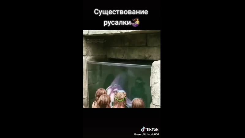 🌊 существование русалки
