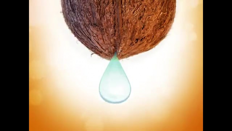 Природная энциклопедия amway home׃ кокосовая пальма